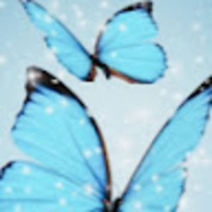 Meet your Posher, Kayli